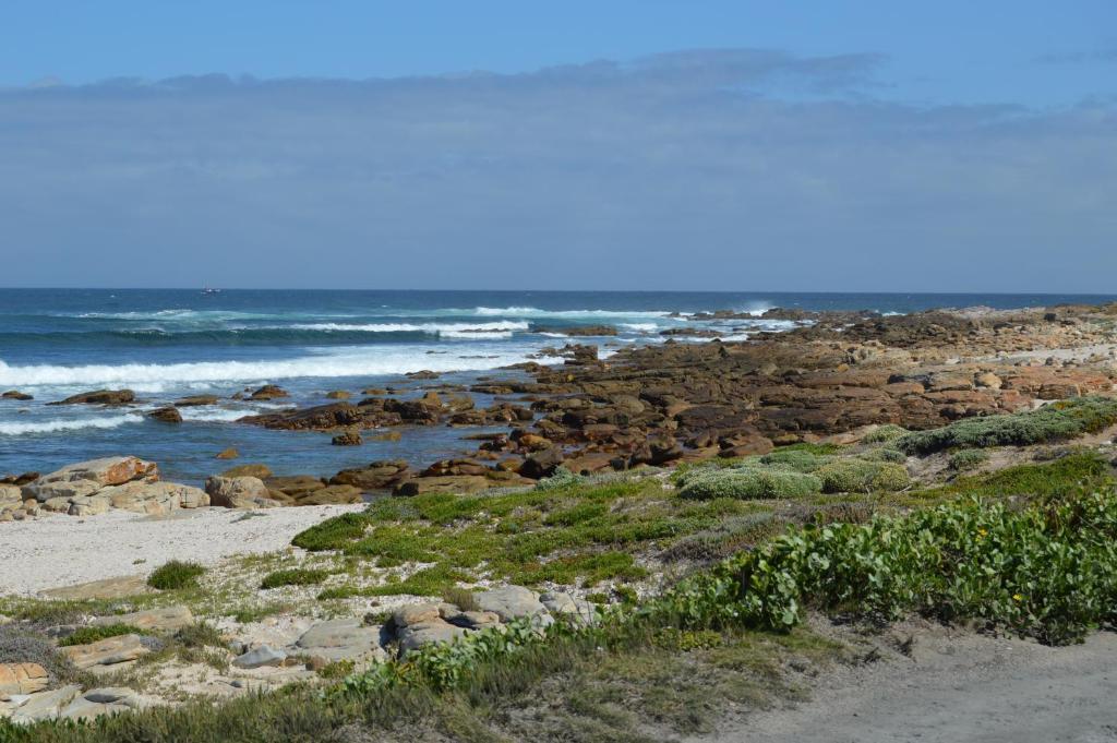 Thatchwood Country Lodge St Francis Bay Kültér fotó